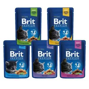 브릿 프리미엄 캣 청크 그레이비 주식파우치 100g 고양이습식사료