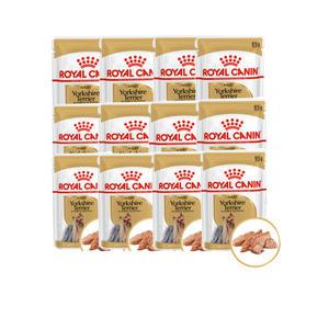 로얄캐닌 요크셔테리어 어덜트 습식 파우치 85g(1box)