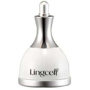 [링셀] 멀티 페이스 쿨러