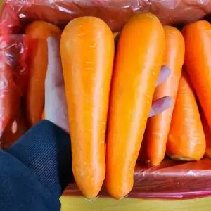수입산 세척 당근 3kg,5kg,10kg 건강주스