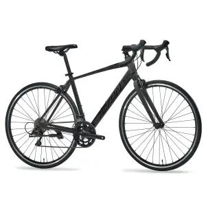 2025년 알톤 자비스 16 클라리스 16단 입문용 로드자전거