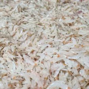 국내산 냉동 동백하 생새우 1kg