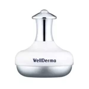 웰더마 페이스 & 아이 쿨링 마사지 스틱 얼굴붓기 롤링