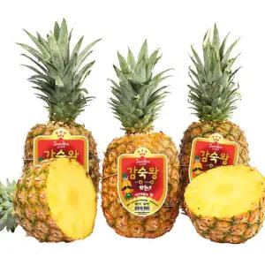 감숙왕 파인애플 1kg내외 x4수 /2세트 주문시 9수 발송