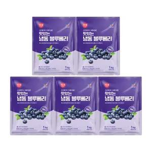 이츠웰 냉동블루베리1kg x 5개