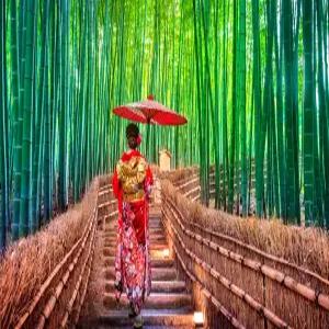 오사카4일#부산출#중/중#티웨이#시내3박#오사카#교토#고베#나라 OR USJ