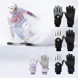 SIS-240 스키보드장갑