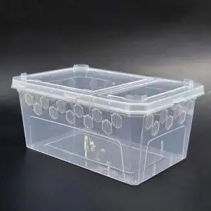 [셀러에이드]게코 파충류 사육장 크레스티드 대형 도마뱀