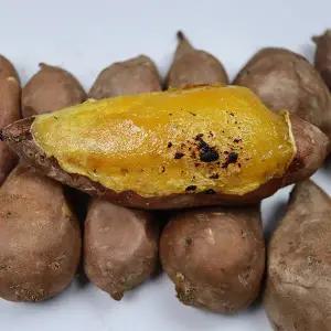 [장보리]여주 산지직송 고당도 호박고구마 특상 10kg