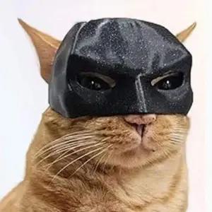 [콩심팥심]반려동물 고양이 반려묘 소품 어드벤처 마스크 베트맨