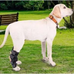 [셀러에이드]애견무릎보호대 2개 애완 동물 무릎 패드 다리 부상