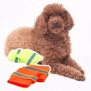 [골드스마일]애견 야광 안전팔찌