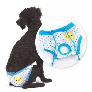 [골드스마일]강아지 위생 팬티