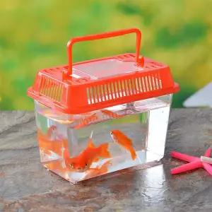 [골드스마일]보관 채집통 파충류 케이스 다슬기 관찰통 곤충 중