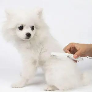 [콩심팥심]애견빗 참빗 눈꼽빗 눈물빗(대) 애완동물 벼룩빗