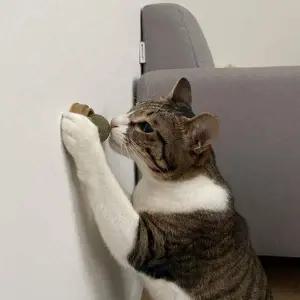 [콩심팥심]캣닢 2개입 롤링 사탕 캣잎사탕 뚜또가또