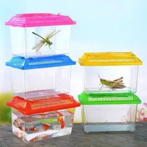 [콩심팥심]채집통 다슬기 곤충 케이스 소 대 어항 관찰통 보관