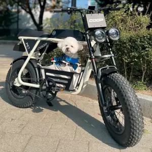 엑스트랙 몬스터 쿱 펫 PET 팻바이크 애견동승 자토바이 48V 바구니 전동 전기 자전거