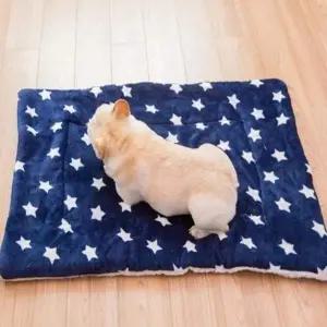 [셀러에이드]블루별L 애견방석 55x70cm
