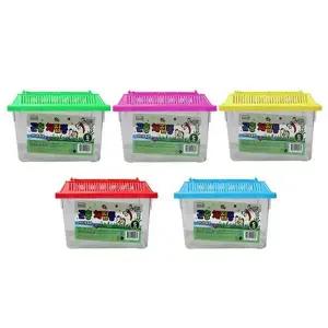 [콩심팥심]곤충 채집통 사슴벌레 잠자리 달팽이 채집통 소형 개구리통