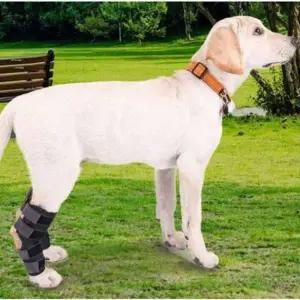 애완견 무릎 보호대 2개 애견 패드 반려동물 다리