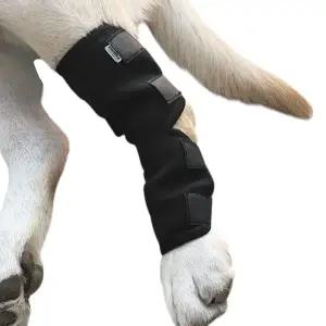 강아지 다리 보호대 중형 DK76 애완견 보호 장비