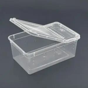 [콩심팥심]투명 양뚜껑 사육통 파충류 곤충 관찰통