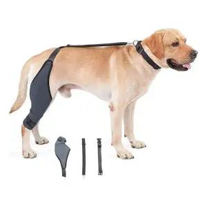 [골드스마일]강아지 관절 보호대 무릎 밴드