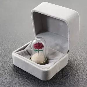 [골드스마일]털보관함 강아지 수집 케이스 고양이 2종세트