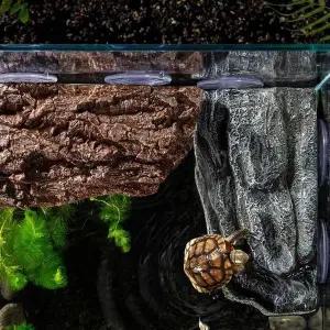 [골드스마일]거북이 육지 쉼터 건조대 은신처