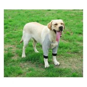 [골드스마일]강아지 슬개골보호대 개 관절 보호대 2XL