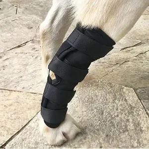 [골드스마일]강아지 슬개골 보호대 발목 터널 나들이 산책용 M