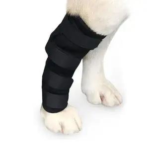 [골드스마일]슬개골탈구 강아지 (M) 다리보호대 펫츠런 애견발목