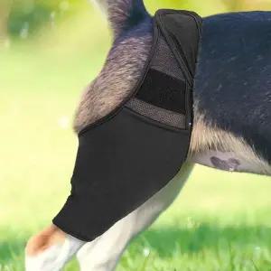 [골드스마일]강아지 슬개골 고관절 보호대 통깁스 스트랩 애완동물 안전기구