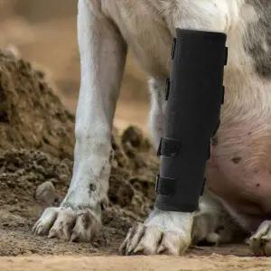 [골드스마일]강아지 슬개골 보호대 XL 통깁스 보호기 애완견 관절용