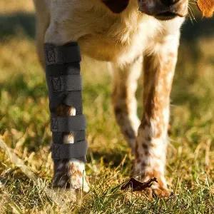 [골드스마일]강아지 슬개골 보호대 통깁스 지지대 대형 반려견 보호장치 L