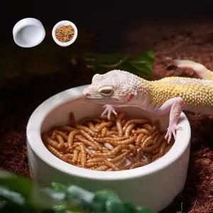 [골드스마일]파충류 도자기 밥그릇 물그릇 식기 원형 소형 중형 음식접시