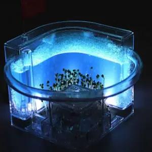 [콩심팥심]개미하우스 아크릴개미집 LED 개미집