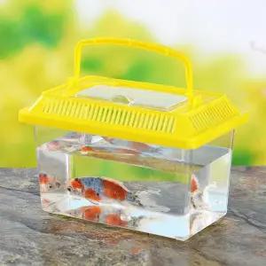 [콩심팥심]대형보관통 관찰통 보관케이스 곤충관찰케이스 대형 다슬기