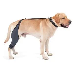 [골드스마일]강아지 보호대 탈구 방지용품 산책 안전 보호밴드 M