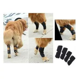 [골드스마일]강아지 슬개골 보호대 긴 다리 보조기 2개입 멀티밴드 건강지킴이