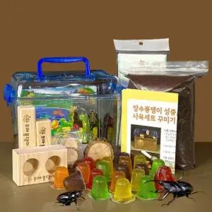 넓적사슴벌레성충 중형 사육세트(곤충한쌍포함)