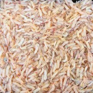 국내산 김장용 생새우 동백하 2kg 냉동 김장새우