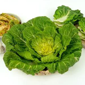 [전청프레시] 봄에 만나는 제철 봄동 배추 봄동 2kg