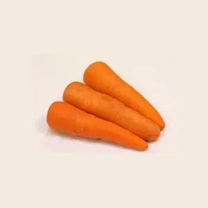 국내산 흙당근 10kg