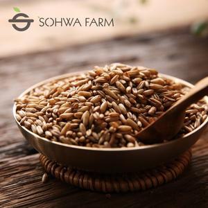 [소화농장] 2025년 귀리 1kg [국산귀리]