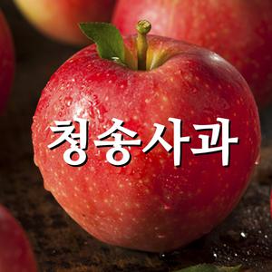 청송 꿀사과 부사 5kg 2025년햇사과