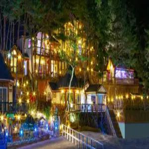 [강원 펜션] 횡성 숲속의사랑별펜션 (홍천,횡성)