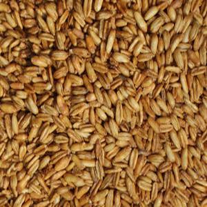 국산 매일쪄서 볶은 귀리볶음 통귀리 500g 귀리간식