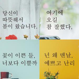 감성 글귀 인테리어 포인트 레터링 스티커